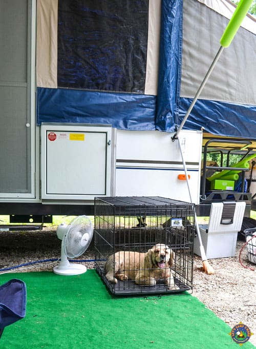 dog in his crate in the shade and with a fan while camping