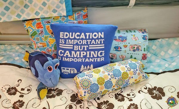 education is important but camping is importanter pillow