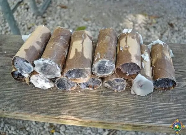 Make Your Own Fire Starter Logs - Have trouble getting a campfire to stay lit? Make your own fire starter logs for a one match fire each time. These are cheap and easy to make with supplies you probably already have on hand.