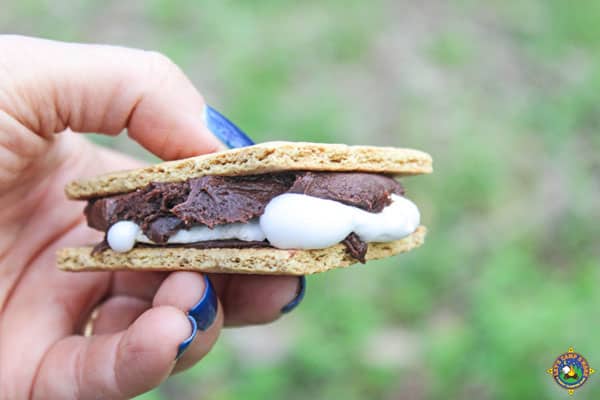 hand holding a s'more made with chocolate frosting
