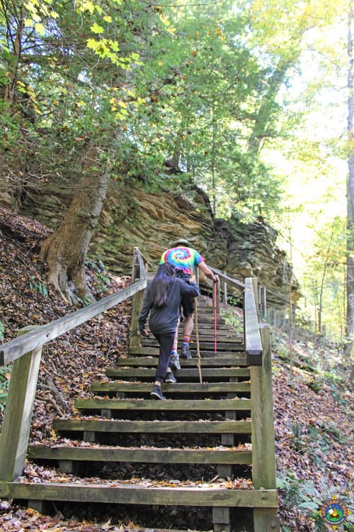 2 people climbing wooden stairs while hiking
