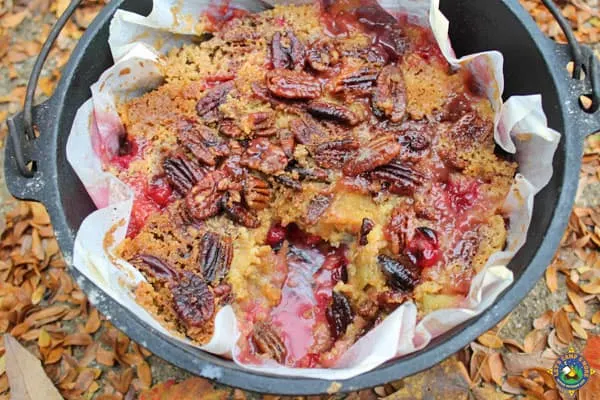 close up of a cranberry dutch oven apple cake