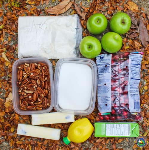 ingredients for a Dutch Oven Fall Cake with cranberries and apples