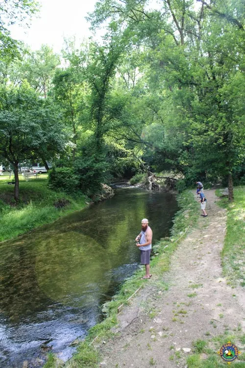 people fishing in a creek for trout