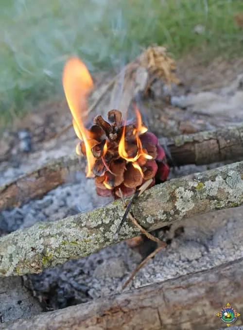 campfire being started with a pinecone fire starter