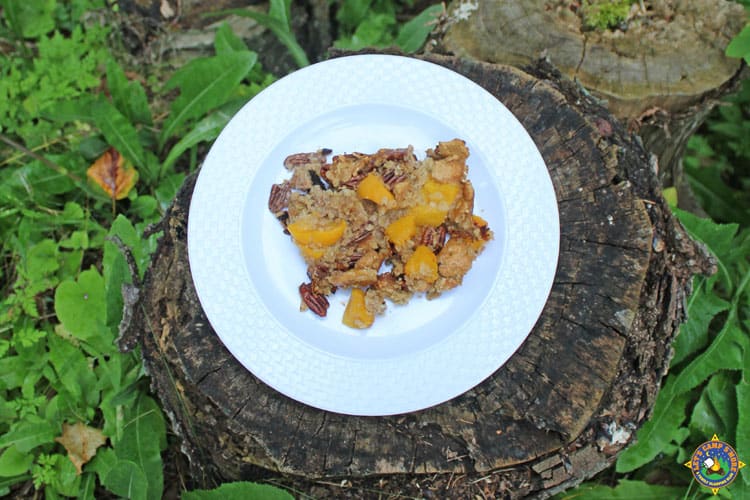 Campfire Peach Crisp Easy Camping Dessert Recipe