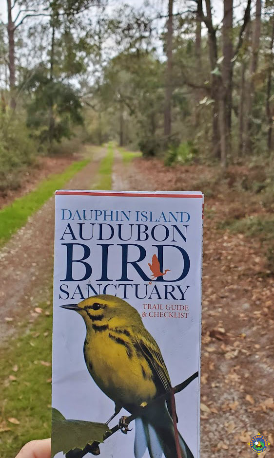 person holding the Dauphin Island Bird Audubon Sanctuary Guide Map and Checklist on one of the trails