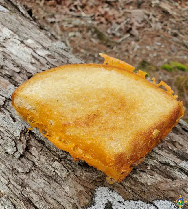 a grilled cheese sandwich on a log