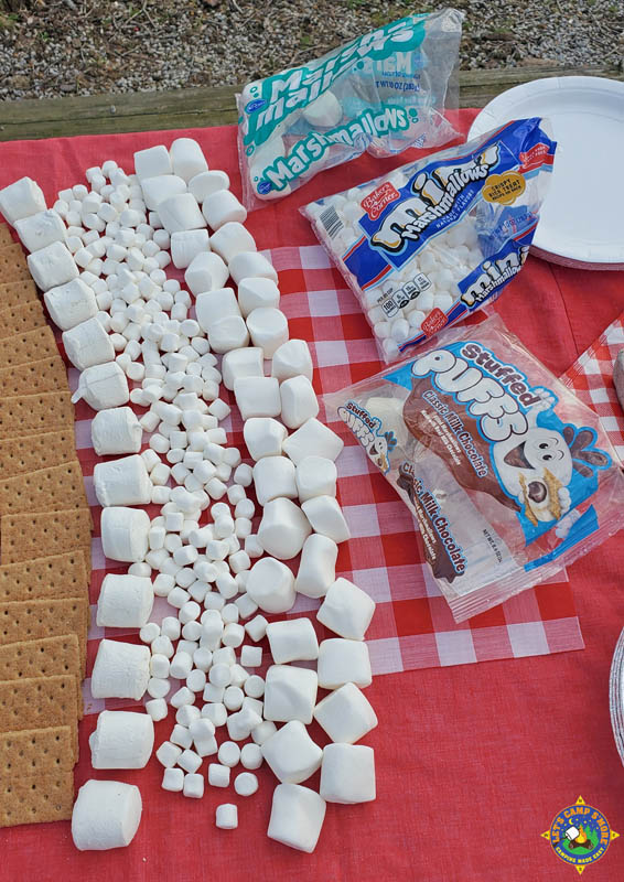different types of marshmallows for camping