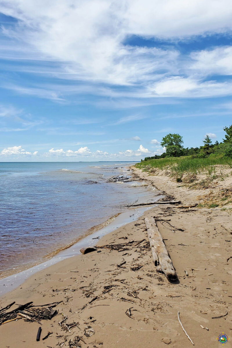 Sandy beach with driftwood along the western shores of Lake Michigan