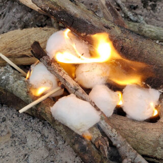 cotton ball soaked in oil being lit by a match in a campfire ring