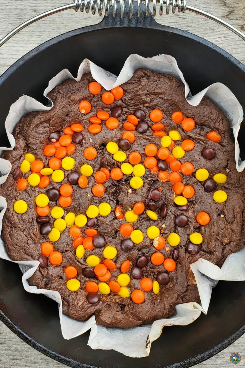 Best Chocolate Peanut Butter Cake with colorful candies on top