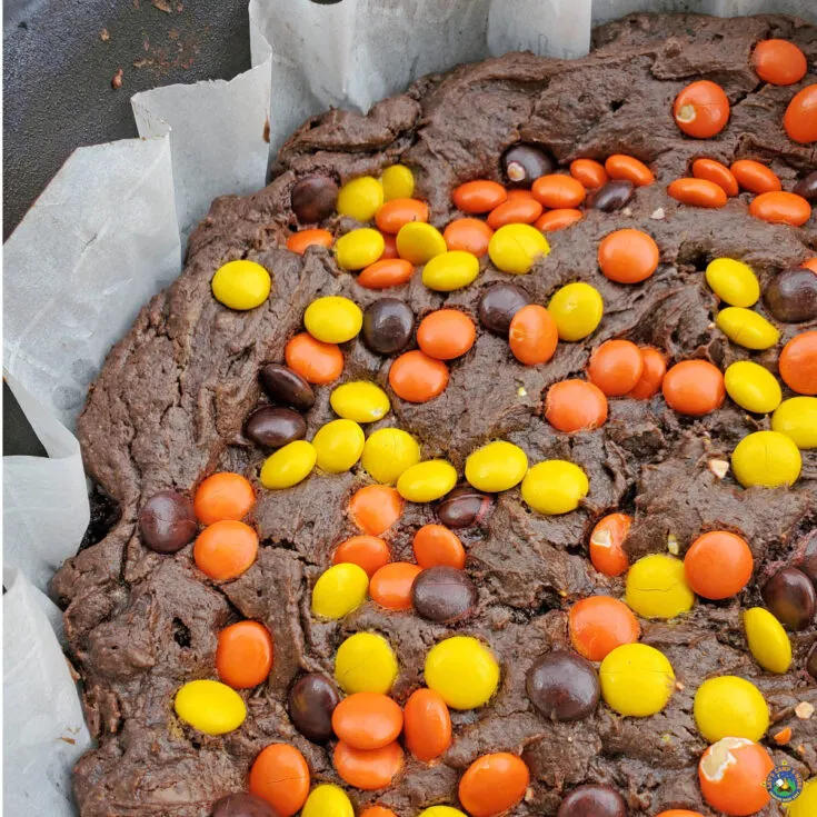 close up of a Dutch Oven Peanut Butter Chocolate Cake with Reece's Pieces on top