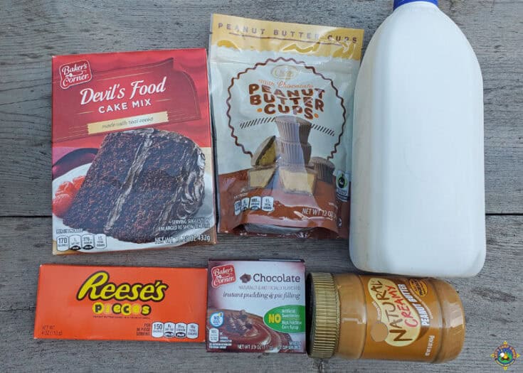 Dutch Oven Chocolate Peanut Butter Cake with Reece's Pieces