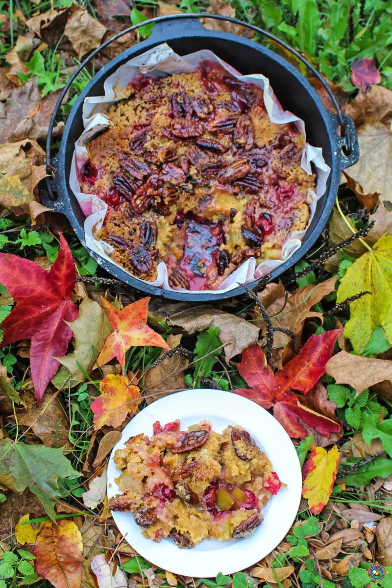 cranberry apple dump cake in a dutch oven with a serving on a plate