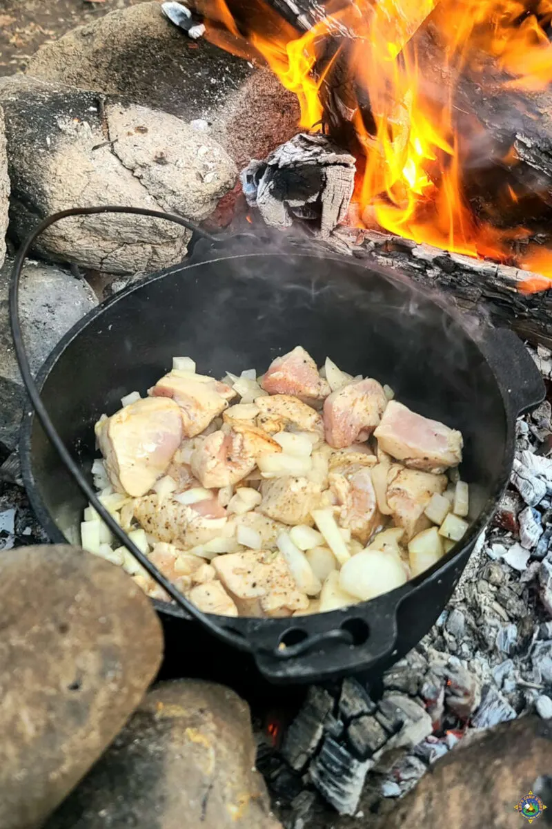 chicken and onions in a dutch oven