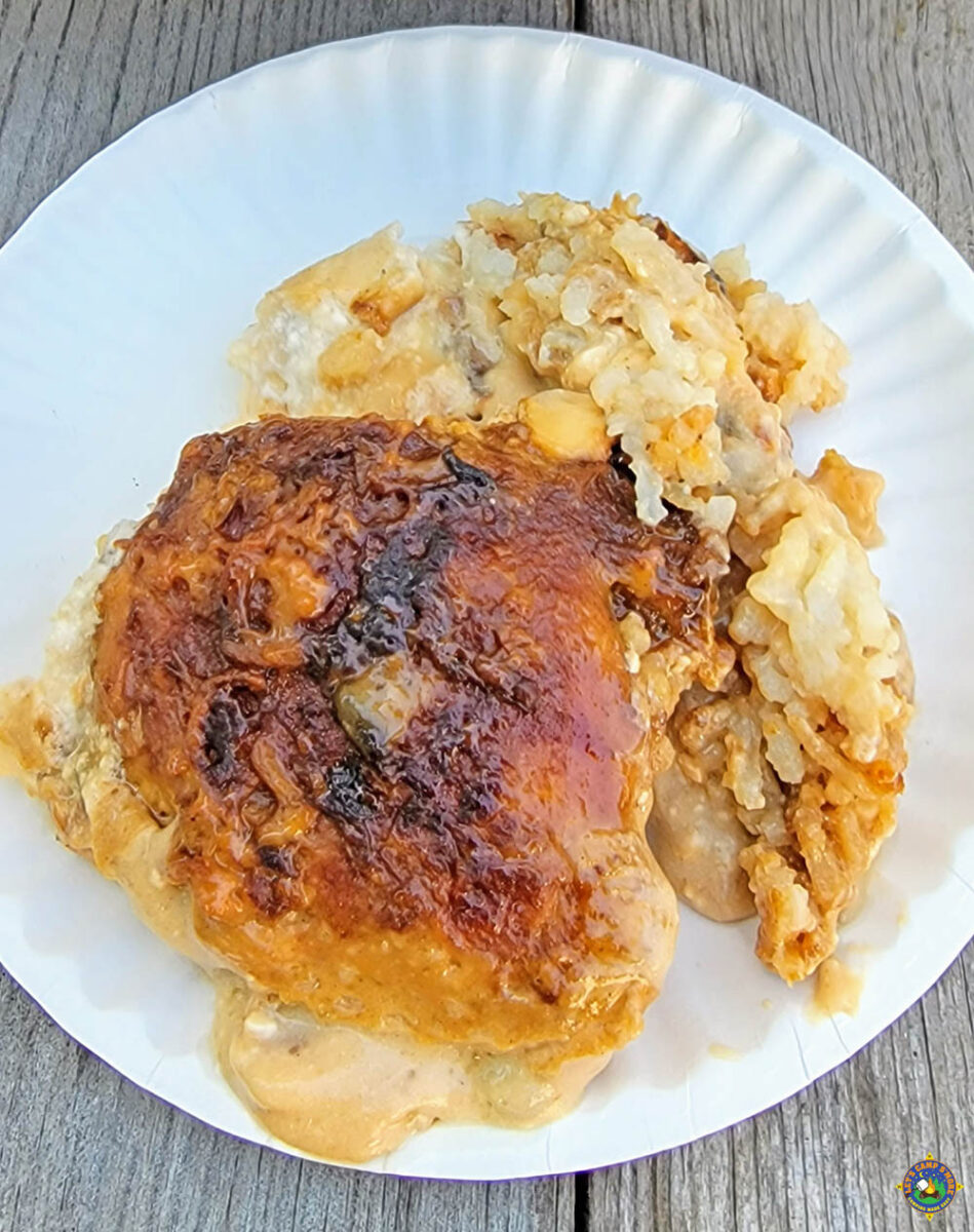 Serving of chicken and rice casserole on a plate