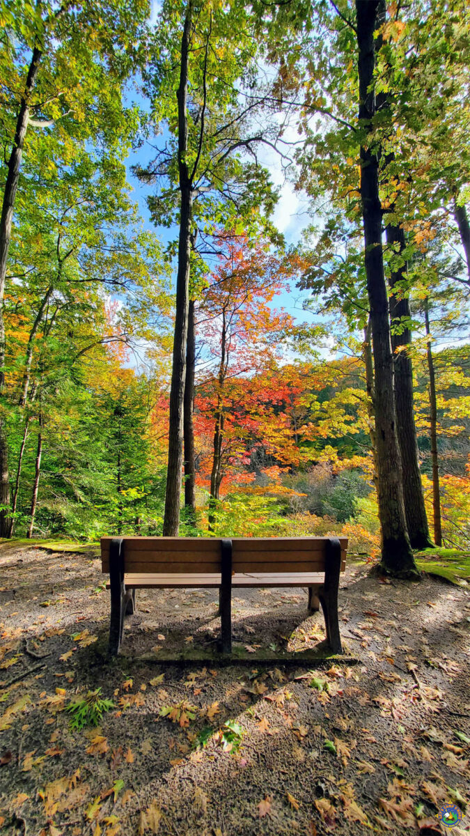 Bench with a view at Hoffmaster State Park