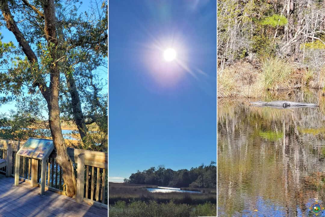 Davis Bayou Campground Review in Ocean Springs, MS