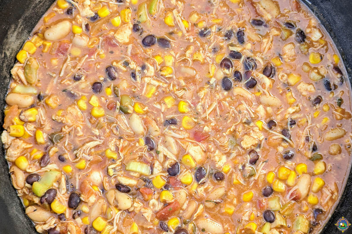 close up of Dutch Oven Chicken Chili