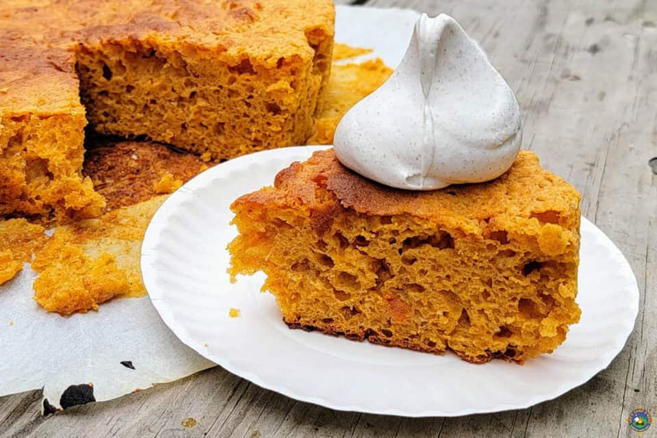 Easy Pumpkin Dutch Oven Cake Let's Camp S'more™