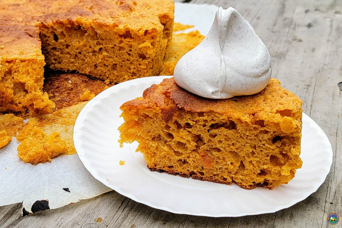 serving of pumpkin cake with whipped topping