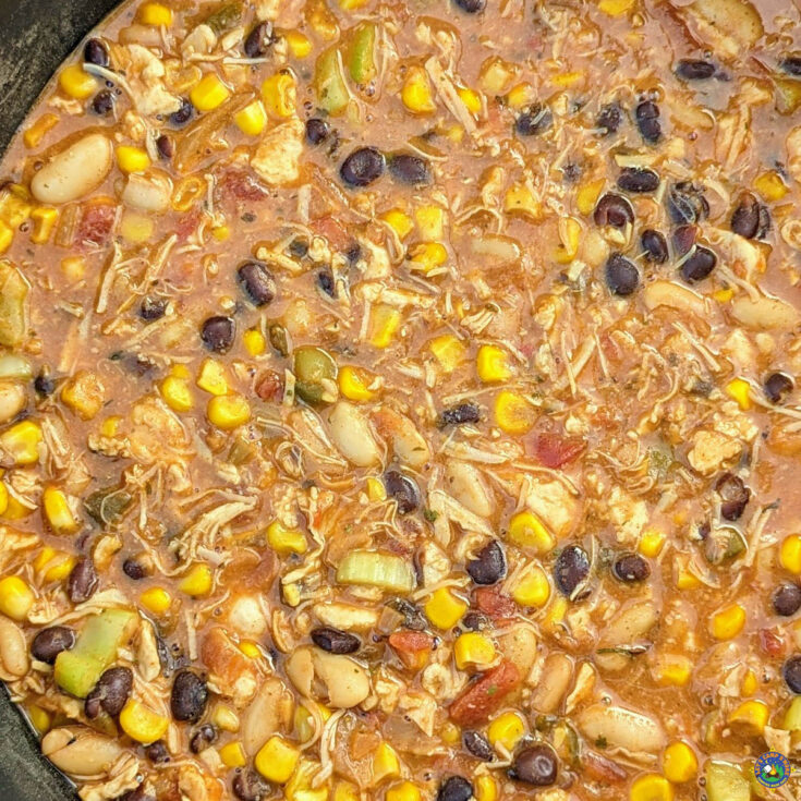 Black Bean Chicken Chili in a pot