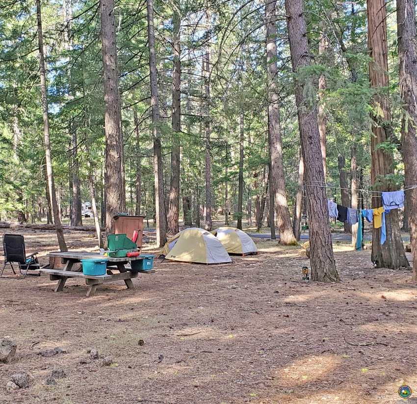 tent campers in the forest