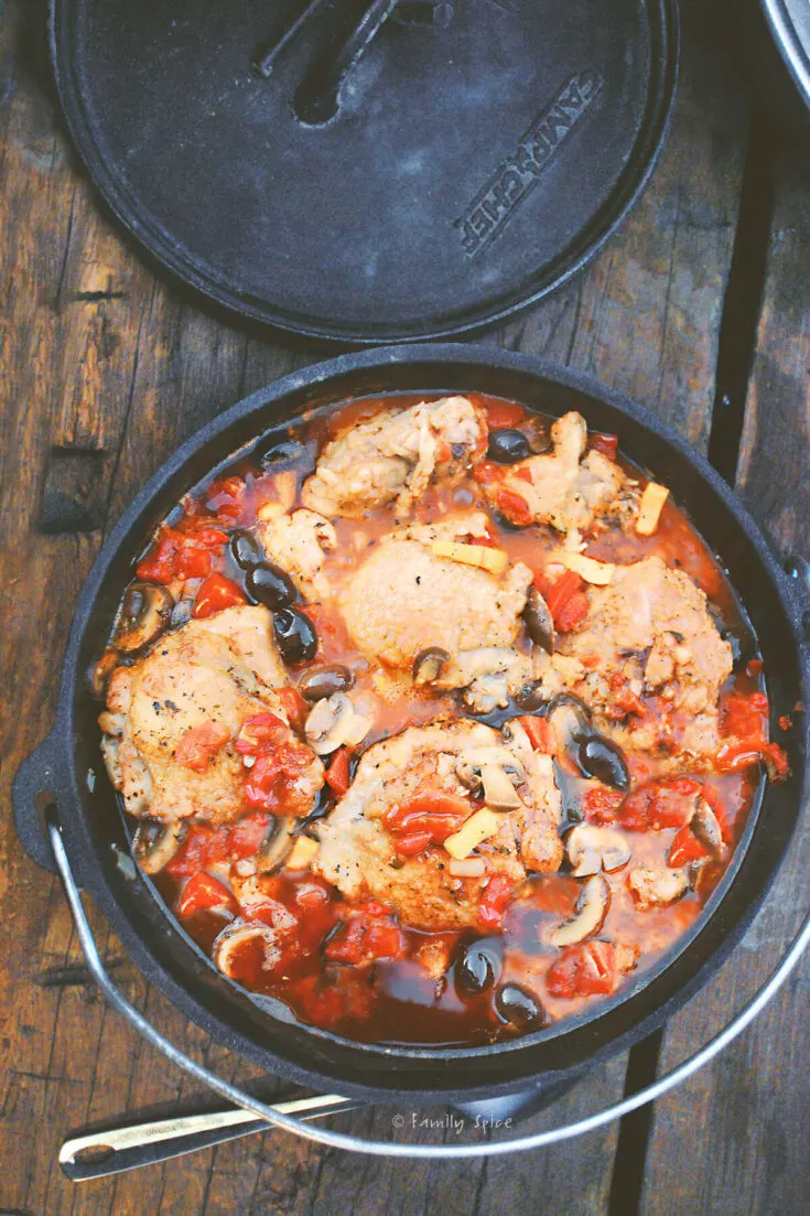 The BEST Ever Dutch Oven Enchiladas for Camping