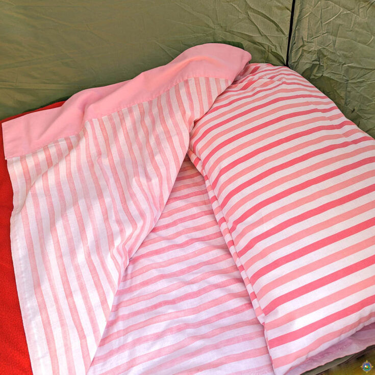 Sleeping Bag with a Liner in it