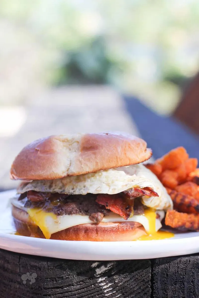 loaded cheeseburger on a plate on a picnic table