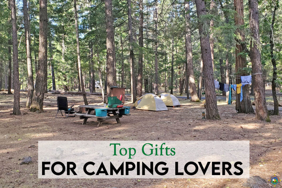 25 Best Gifts for RV Owners for 2023 (as voted by experts)