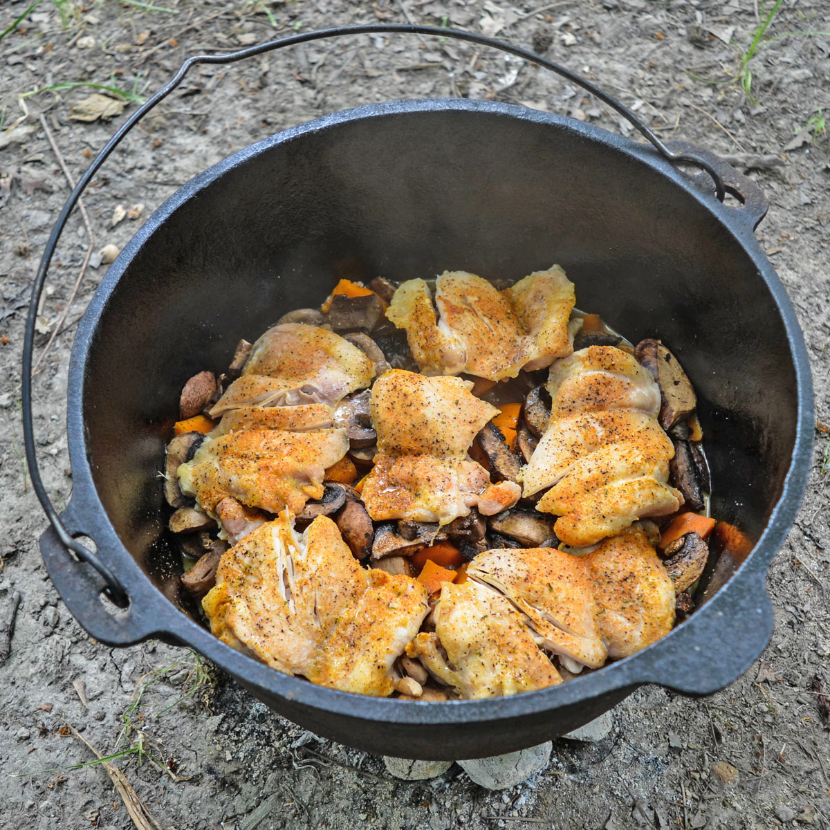 Cast iron dutch oven recipes camping best sale